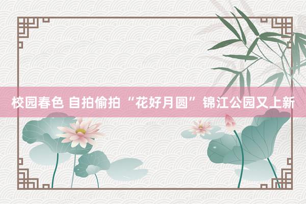 校园春色 自拍偷拍 “花好月圆” 锦江公园又上新