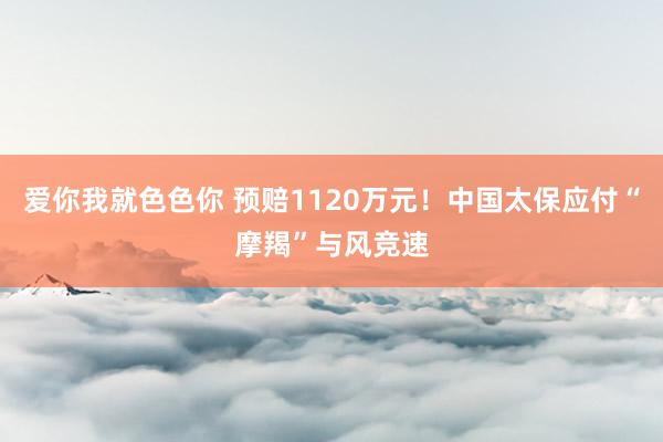 爱你我就色色你 预赔1120万元！中国太保应付“摩羯”与风竞速