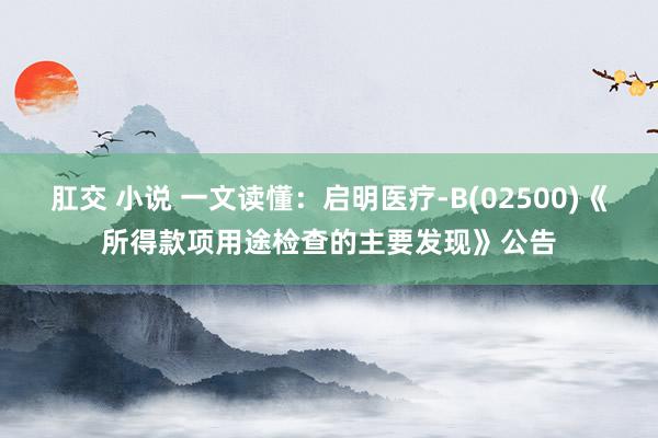 肛交 小说 一文读懂：启明医疗-B(02500)《所得款项用途检查的主要发现》公告