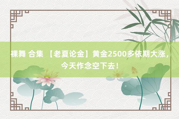 裸舞 合集 【老夏论金】黄金2500多依期大涨，今天作念空下去！