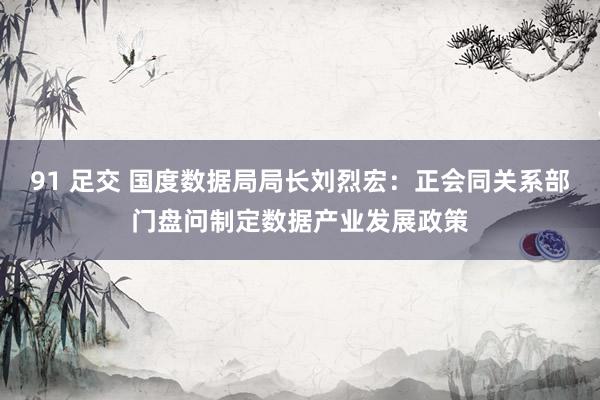 91 足交 国度数据局局长刘烈宏：正会同关系部门盘问制定数据产业发展政策