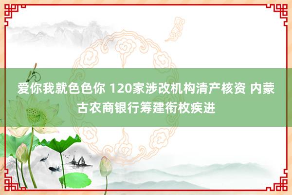 爱你我就色色你 120家涉改机构清产核资 内蒙古农商银行筹建衔枚疾进