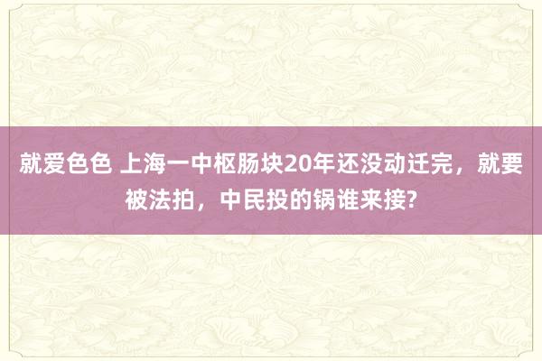 就爱色色 上海一中枢肠块20年还没动迁完，就要被法拍，中民投的锅谁来接?