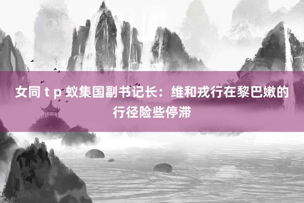 女同 t p 蚁集国副书记长：维和戎行在黎巴嫩的行径险些停滞