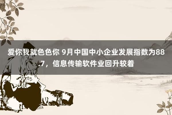 爱你我就色色你 9月中国中小企业发展指数为88.7，信息传输软件业回升较着