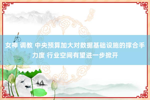 女神 调教 中央预算加大对数据基础设施的撑合手力度 行业空间有望进一步掀开