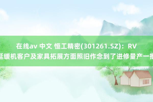 在线av 中文 恒工精密(301261.SZ)：RV延缓机客户及家具拓展方面照旧作念到了进修量产一批