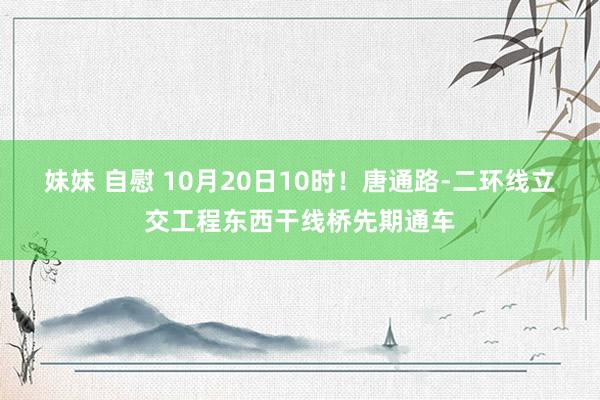 妹妹 自慰 10月20日10时！唐通路-二环线立交工程东西干线桥先期通车