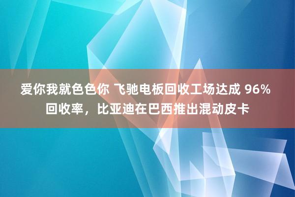 爱你我就色色你 飞驰电板回收工场达成 96% 回收率，比亚迪在巴西推出混动皮卡