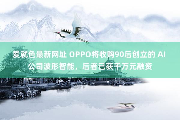 爱就色最新网址 OPPO将收购90后创立的 AI 公司波形智能，后者已获千万元融资