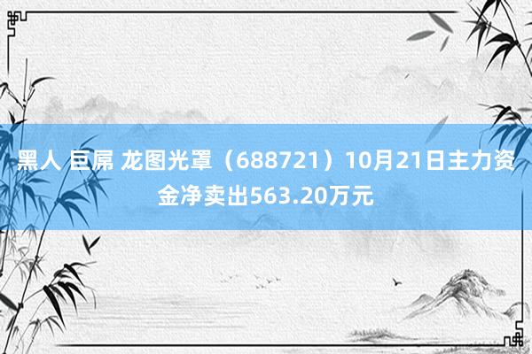 黑人 巨屌 龙图光罩（688721）10月21日主力资金净卖出563.20万元