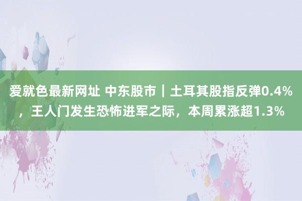 爱就色最新网址 中东股市｜土耳其股指反弹0.4%，王人门发生恐怖进军之际，本周累涨超1.3%