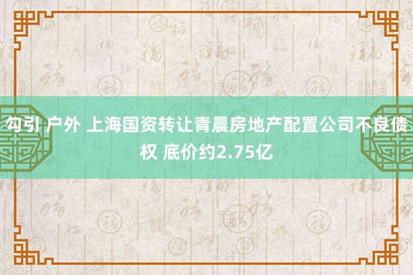 勾引 户外 上海国资转让青晨房地产配置公司不良债权 底价约2.75亿