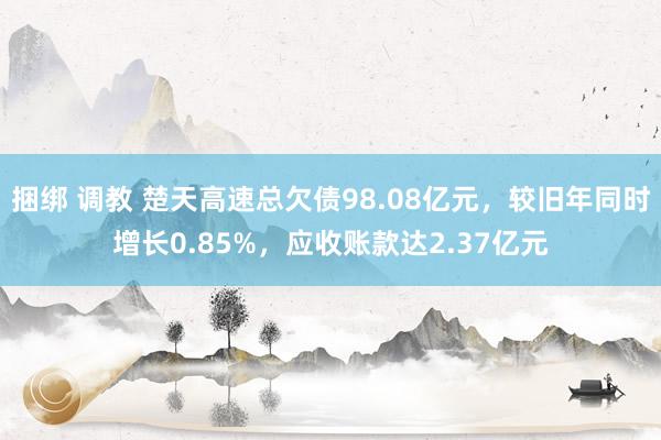 捆绑 调教 楚天高速总欠债98.08亿元，较旧年同时增长0.85%，应收账款达2.37亿元