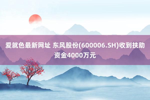 爱就色最新网址 东风股份(600006.SH)收到扶助资金4000万元