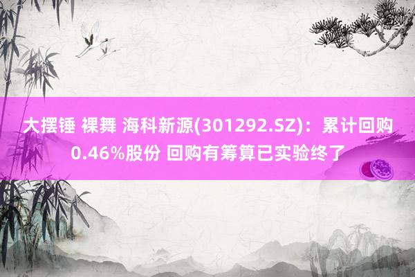 大摆锤 裸舞 海科新源(301292.SZ)：累计回购0.46%股份 回购有筹算已实验终了