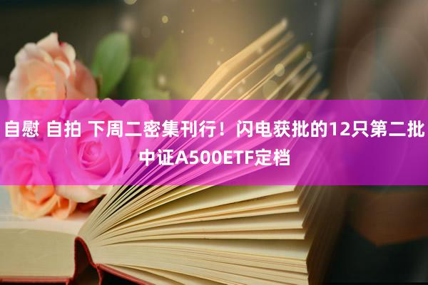 自慰 自拍 下周二密集刊行！闪电获批的12只第二批中证A500ETF定档