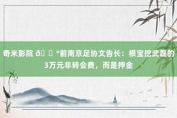 奇米影院 😮前南京足协文告长：根宝挖武磊的3万元非转会费，而是押金