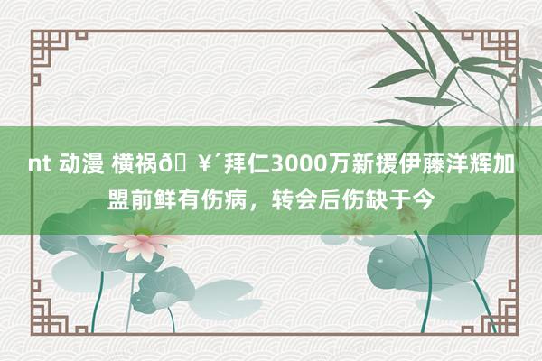 nt 动漫 横祸🥴拜仁3000万新援伊藤洋辉加盟前鲜有伤病，转会后伤缺于今