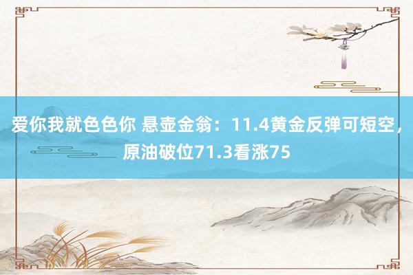 爱你我就色色你 悬壶金翁：11.4黄金反弹可短空，原油破位71.3看涨75