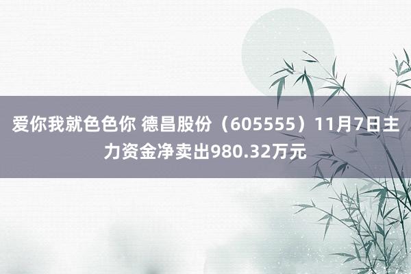 爱你我就色色你 德昌股份（605555）11月7日主力资金净卖出980.32万元