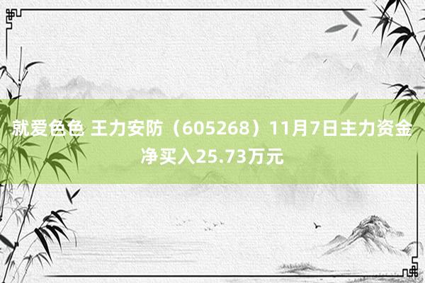 就爱色色 王力安防（605268）11月7日主力资金净买入25.73万元