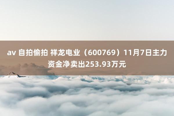 av 自拍偷拍 祥龙电业（600769）11月7日主力资金净卖出253.93万元