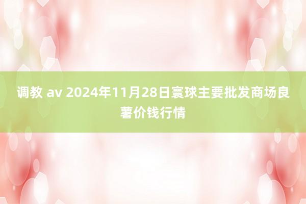 调教 av 2024年11月28日寰球主要批发商场良薯价钱行情