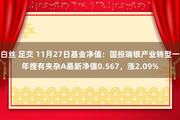 白丝 足交 11月27日基金净值：国投瑞银产业转型一年捏有夹杂A最新净值0.567，涨2.09%