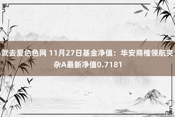 就去爱色色网 11月27日基金净值：华安商榷领航夹杂A最新净值0.7181