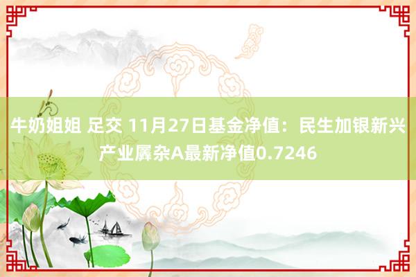 牛奶姐姐 足交 11月27日基金净值：民生加银新兴产业羼杂A最新净值0.7246