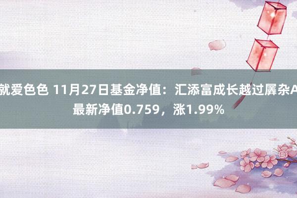 就爱色色 11月27日基金净值：汇添富成长越过羼杂A最新净值0.759，涨1.99%