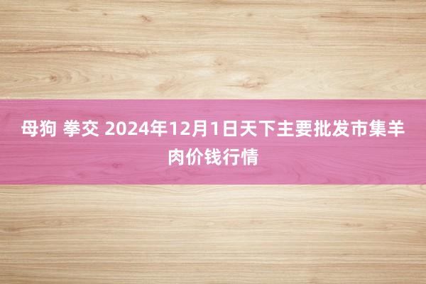 母狗 拳交 2024年12月1日天下主要批发市集羊肉价钱行情