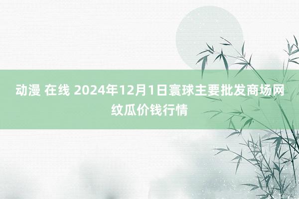 动漫 在线 2024年12月1日寰球主要批发商场网纹瓜价钱行情