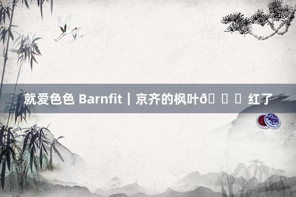 就爱色色 Barnfit｜京齐的枫叶🍁红了