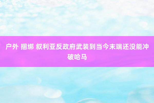 户外 捆绑 叙利亚反政府武装到当今末端还没能冲破哈马