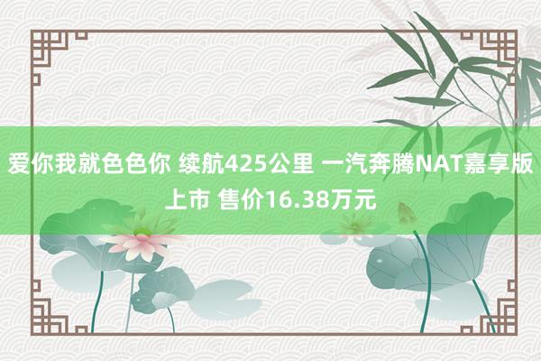 爱你我就色色你 续航425公里 一汽奔腾NAT嘉享版上市 售价16.38万元