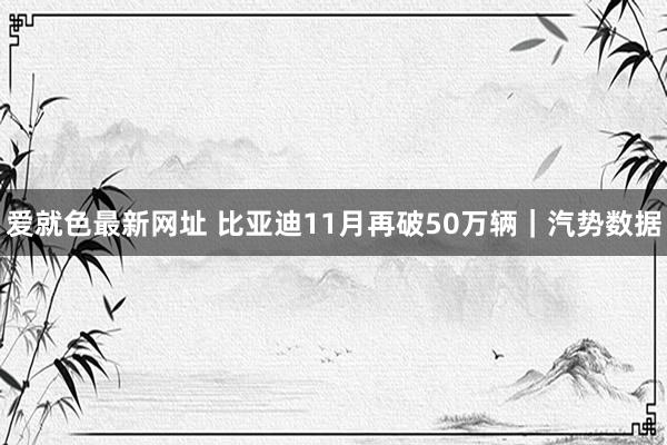 爱就色最新网址 比亚迪11月再破50万辆｜汽势数据