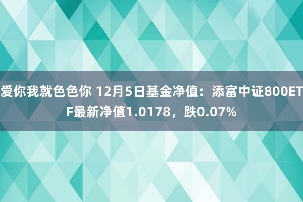 爱你我就色色你 12月5日基金净值：添富中证800ETF最新净值1.0178，跌0.07%