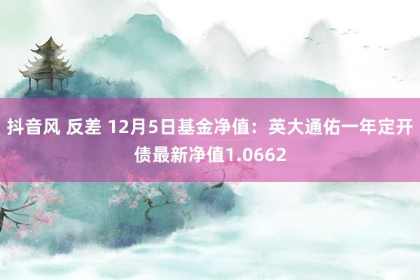 抖音风 反差 12月5日基金净值：英大通佑一年定开债最新净值1.0662