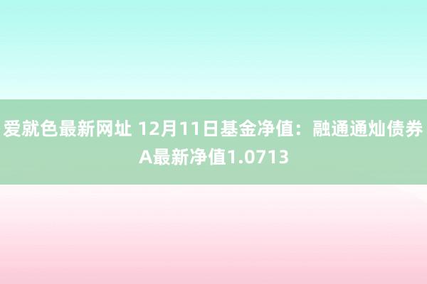 爱就色最新网址 12月11日基金净值：融通通灿债券A最新净值1.0713