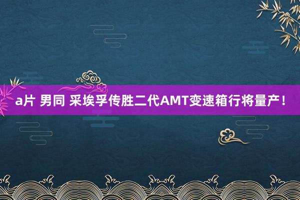 a片 男同 采埃孚传胜二代AMT变速箱行将量产！