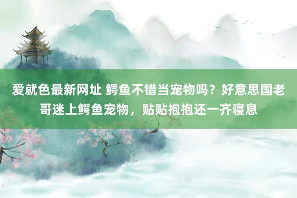 爱就色最新网址 鳄鱼不错当宠物吗？好意思国老哥迷上鳄鱼宠物，贴贴抱抱还一齐寝息