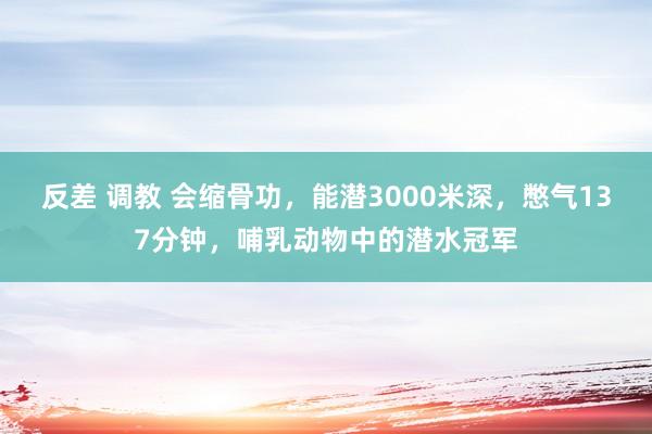 反差 调教 会缩骨功，能潜3000米深，憋气137分钟，哺乳动物中的潜水冠军