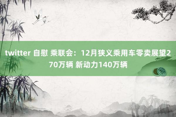 twitter 自慰 乘联会：12月狭义乘用车零卖展望270万辆 新动力140万辆