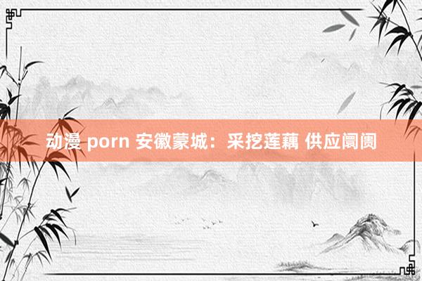 动漫 porn 安徽蒙城：采挖莲藕 供应阛阓