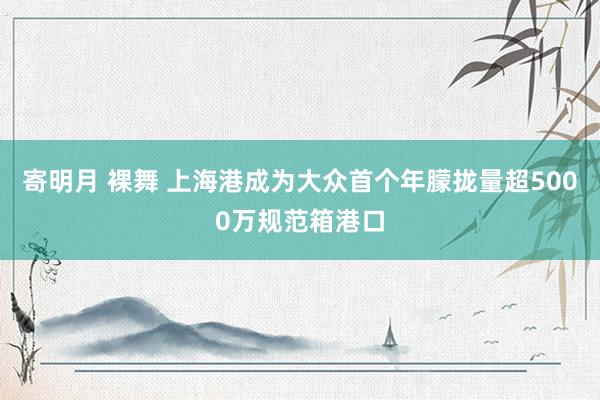 寄明月 裸舞 上海港成为大众首个年朦拢量超5000万规范箱港口