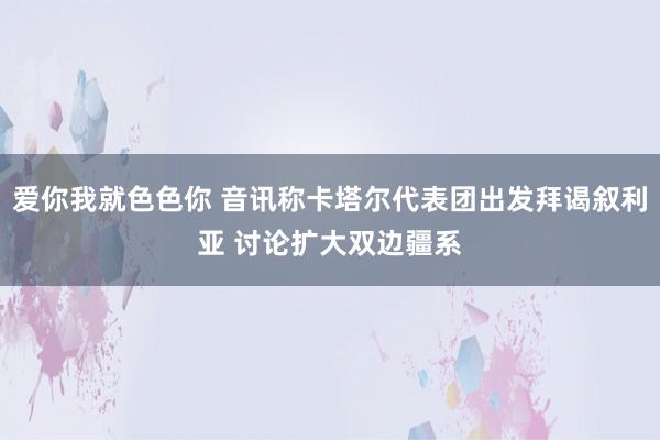 爱你我就色色你 音讯称卡塔尔代表团出发拜谒叙利亚 讨论扩大双边疆系