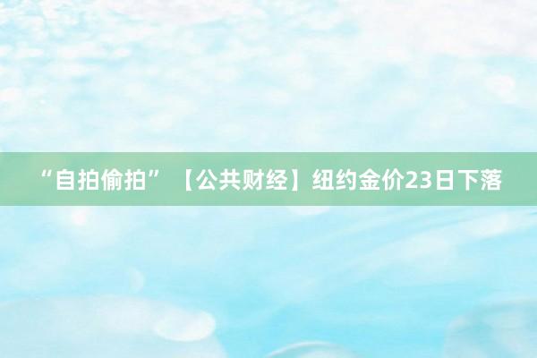 “自拍偷拍” 【公共财经】纽约金价23日下落