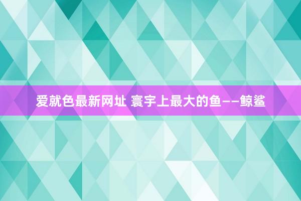 爱就色最新网址 寰宇上最大的鱼——鲸鲨